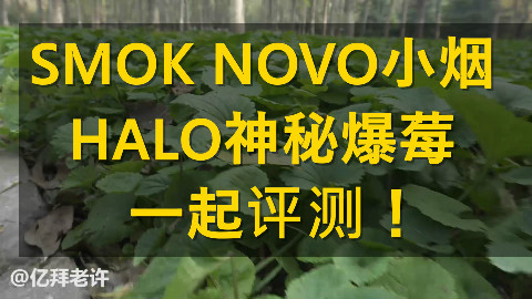 老许盐评第62期-SMOK NOVO小烟+HALO神秘爆莓评测BY亿拜老许
